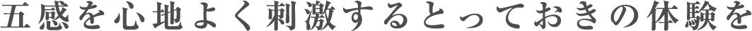 五感を心地よく刺激するとっておきの体験を